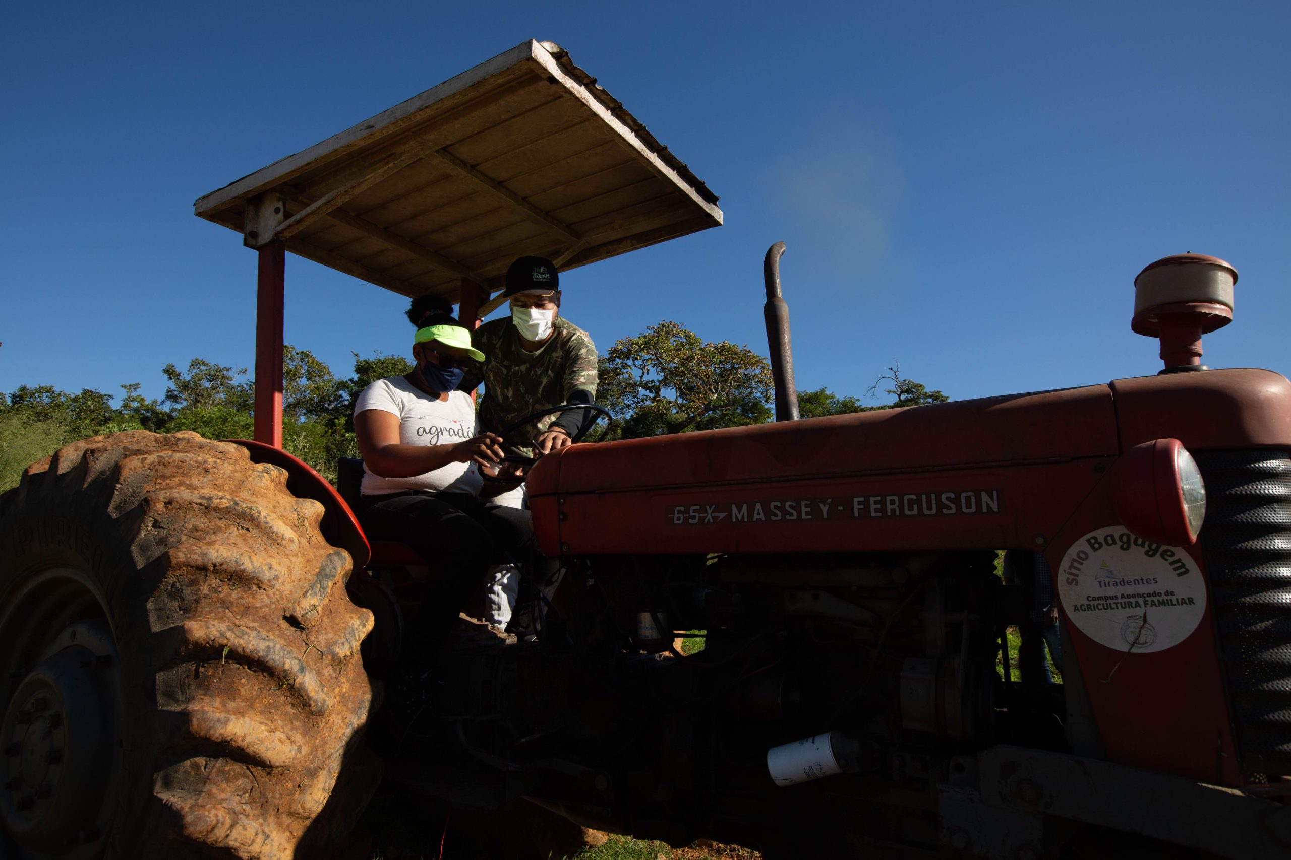 Curso de Agrofloresta